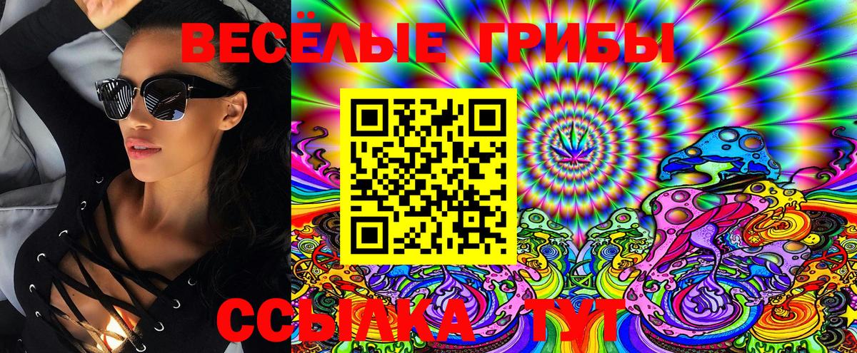 Псилоцибиновые грибы Psilocybe  Вход с VPN  Чита 
